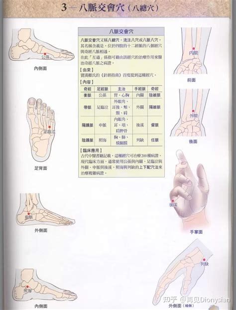 八會穴口訣